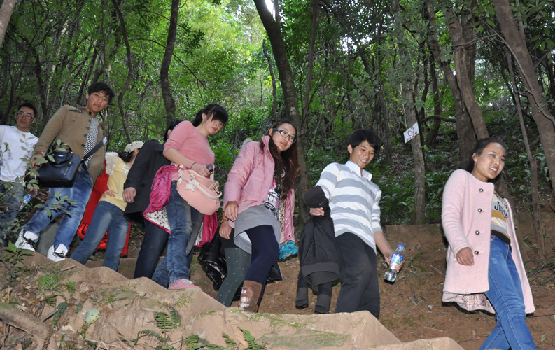 青龙峡位于昆明西郊安宁市青龙镇滇中生态大峡谷中，景区有保存较为完好的植物群落，遮天蔽日的参天古木；有浪漫山花，野果飘香，还有清秀宁静的田园风光。河谷沿岸古柳成荫，几十里的云南樱花大道成为昆明郊游靓丽的风景线。景区中溪水潺潺，千姿百态、千奇百怪的蔓藤风光随处可见，号称“都市身旁的小九寨。